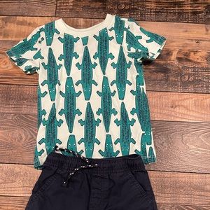 Cat & Jack toddler outfit 2t